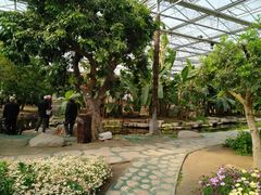 -南通洲际绿博园