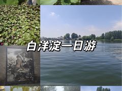 -白洋淀景区