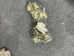 -佳雯宠物医院(四明中路分院)