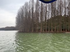 -上海海湾国家森林公园