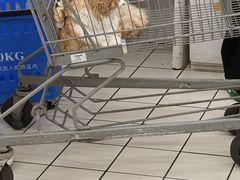 -沃尔玛(咸宁温泉路店)