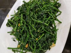 野菜-美极鲜食坊(宝安南路店)