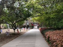 -白马涧龙池景区