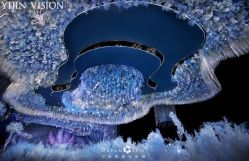 点击看大图 -三色锦婚礼定制