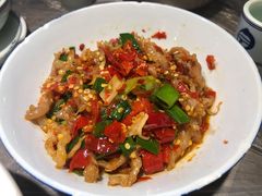 鸭掌筋-壹盏灯(惠农店)