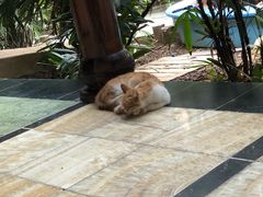-龙达温泉生态城