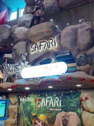 -卡通尼·Safari非洲探索乐园·生日会(金桥国际商业广场店)