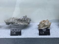 -甘肃地质博物馆