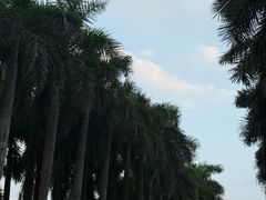 -南宁花花大世界景区