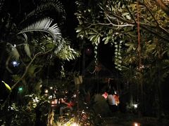 -乌托邦酒吧和餐厅