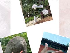 -南京博物院