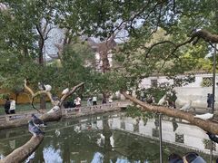 -西园戒幢律寺