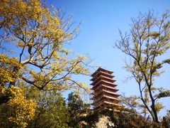 -牛首山文化旅游区