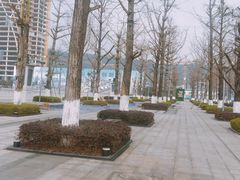 -百林公园-两江幸福广场