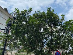 -遵义会议纪念馆