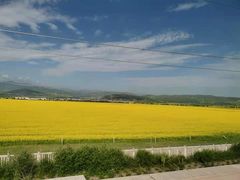 -扁都口生态休闲旅游区