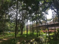 -中国科学院西双版纳热带植物园
