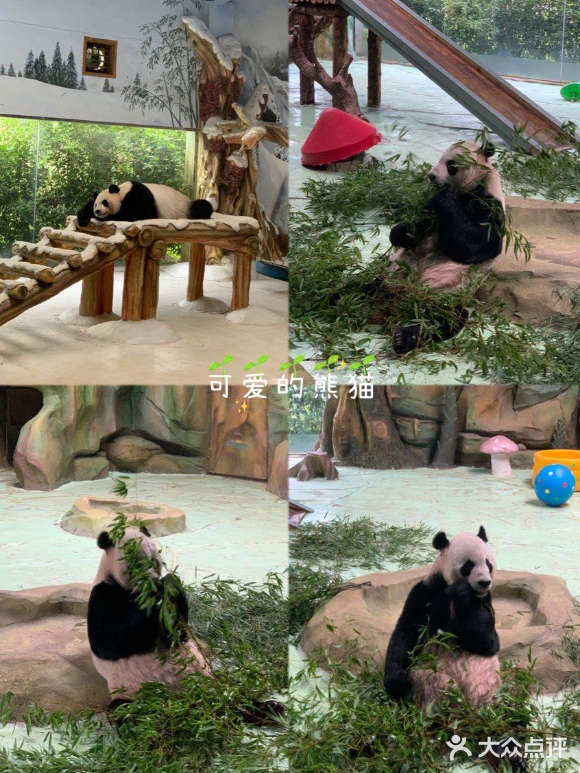 南京紫清湖野生动物世界💕出炉新攻略！超全！