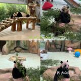 南京紫清湖野生动物世界💕出炉新攻略！超全！