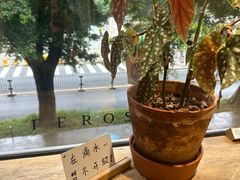 -素咫咖啡CLIFEROSE(新安店)