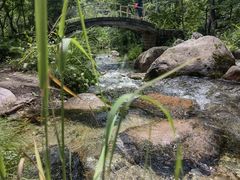 -玉渡山自然风景区