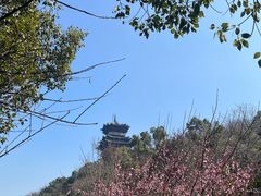 -杭州半山国家森林公园