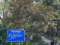 -墅园