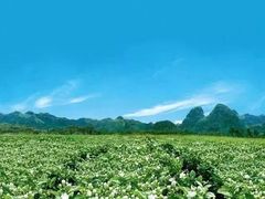 -南京金牛湖风景区