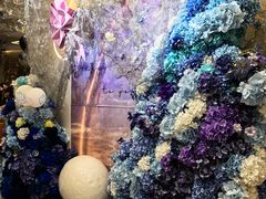 -LE SHARE洛笙·花园西餐(北京路步行街店)