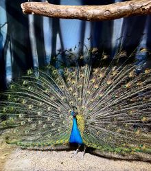 -酷嗒动物文化乐园(cutezoo西溪乐天城店)