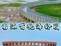 -南汇嘴观海公园