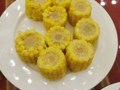 -青岛香根温泉酒店