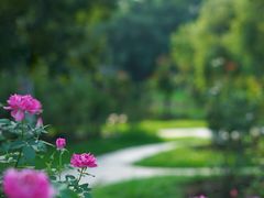 -人民公园(罗湖区)