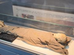 -巴音郭楞蒙古自治州博物馆