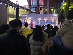 -金茂览秀城
