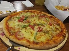 -百好乐宠物友好餐厅(朝外大街店)