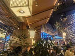 -桂满陇·海市蜃楼·黑金(国金店)