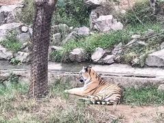 -杭州野生动物世界