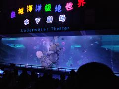 -泉城欧乐堡海洋极地世界