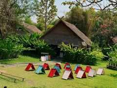 -大象粑粑造纸公园