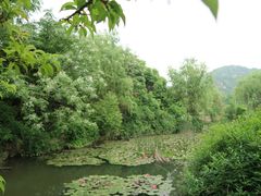 -白马涧龙池景区