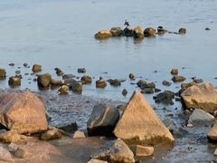 -深圳湾公园(南山区)