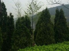 android_upload_pic-蒙山大佛景区