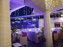 -润园四季椰子鸡火锅(海上世界店)