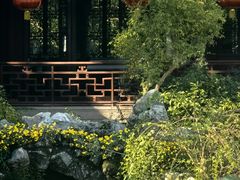-上海醉白池公园