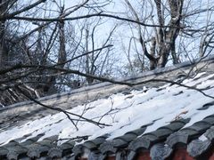 -张家界天门山国家森林公园