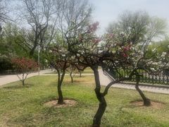 -玲珑塔公园