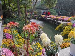-杭州植物园