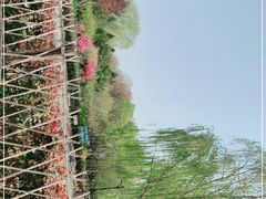 -东升八家郊野公园