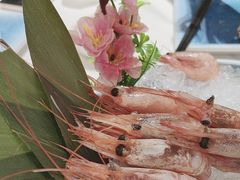 -渔舶汇活海鲜·榴莲自助放题(龙华壹方天地店)